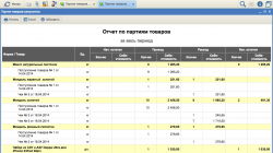 Отчет по партиям товаров